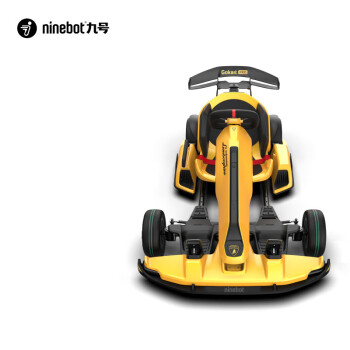 九号（Ninebot） 卡丁车 博基尼卡丁车 汽车定制版成人儿童智能电动体感车平衡车赛车 DS