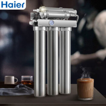 海尔（Haier）HM601-4 商用净水器 餐饮 茶室奶茶店餐馆便利店不锈钢双出水大流量家用净水器 