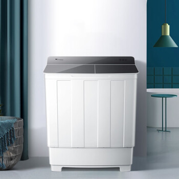 小天鹅（LittleSwan）洗衣机半自动双缸双桶10公斤kg家用大容量 洗脱分离强劲动力省水省电 TP100VH60E