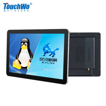 触沃（TouchWo）国产化工控一体机电容触摸屏显示器麒麟桌面版V10正版系统17.3英寸飞腾FT-2000/4/4G/128G 