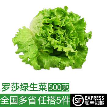 绿食者 新鲜绿叶生菜500g 罗莎绿花边花叶生菜西餐沙拉食材健康轻食蔬菜
