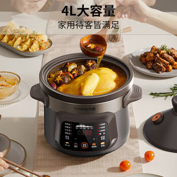 九阳（Joyoung）电炖锅 家用多功能紫砂锅 煲汤煮粥锅电砂锅 4L DG40K-GD993