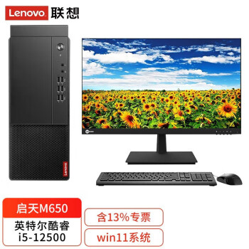 联想（Lenovo）启天M650 商用办公台式机电脑 | 英特尔酷睿12代 i5-12500 16G 1T+256G +23.8英寸显示器