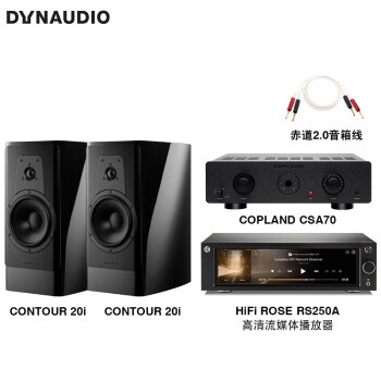 丹拿（DYNAUDIO）HiFi音响功放套装 轮廓Contour 20i无源书架音箱 高光黑+CSA70功放+RS250A数播+Atlas赤道音箱线