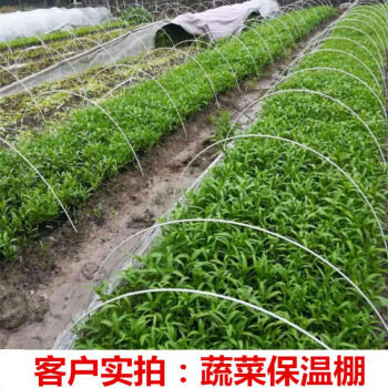 其六菜棚保温棚花棚拱玻纤杆农用小拱棚支架拱杆骨架玻璃钢弹力棒农用