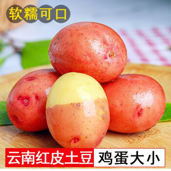 仙迹寻踪云南红皮土豆马铃薯 新鲜黄心小土豆洋芋2.5kg 新鲜蔬菜