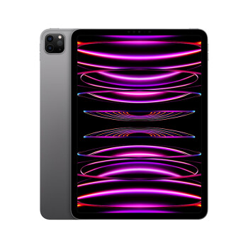 Apple iPad Pro 11英寸平板电脑 2022年款(512G WLAN版/M2芯片Liquid视网膜屏/MNXH3CH/A) 深空灰色