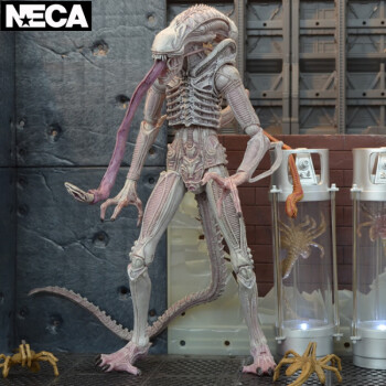 大战铁血战士avp契约异型alien模型可动玩具礼创意礼品摆件白化异形