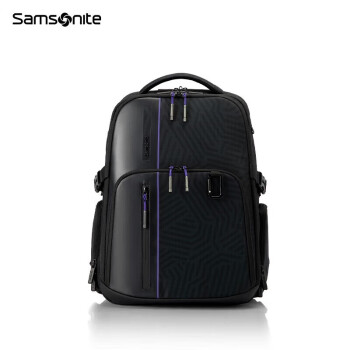 新秀丽（Samsonite）电脑包男女通用休闲背包大容量旅行包紫色款15.6英寸KI1*08005