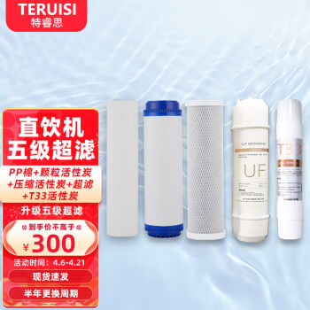 特睿思（TERUISI）商用开水器滤芯 适用于多机型纯水机配件