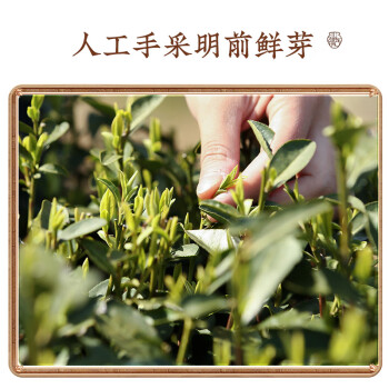 卢正浩 2023新茶绿茶明前特级西湖龙井茶叶自己喝狮峰山脉春茶纸包150g