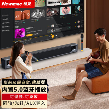 纽曼（Newmine）回音壁音响电视音响 家庭影院K歌音响 家用客厅 音箱 壁挂音响 条形音箱 双麦版