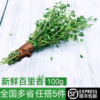 绿食者 新鲜百里香100g 麝香草山胡椒 西餐烧烤调料牛排香料 100g