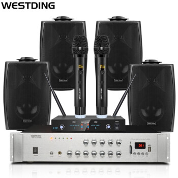 威斯汀（WESTDING）V2 音响 音箱 会议套装 挂壁音响壁挂音响喇叭组合套装（黑色）