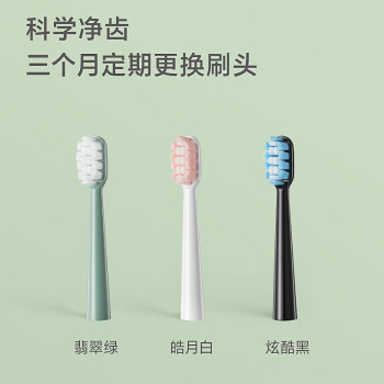 博锐电动牙刷头原装成人软毛高效清洁呵护牙龈适配型号PT1701 PH01翡翠绿1只装