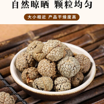 草豆蔻调料卤菜香料中草蔻草寇仁老寇仁草扣炖肉卤料火锅料250g精选草