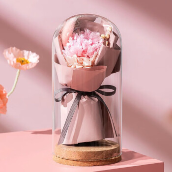 RoseBox康乃馨花母亲节520情人节生日礼物纪念日鲜花送女生朋友员工