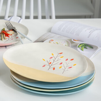 亿嘉（IJARL）陶瓷西餐盘10英寸牛排盘子餐具意面盘家用创意菜盘沙拉盘