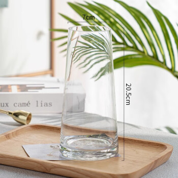 初卓玻璃花瓶透明水培富贵竹玫瑰插花瓶 简约T型【透明色】20高不描金