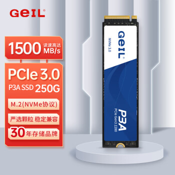 GEIL金邦 250GB SSD固态硬盘 M.2接口PCIe 3.0（NVMe协议）台式机笔记本硬盘 高速1500MB/S P3A系列