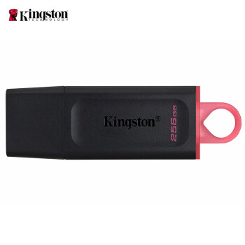 金士顿（Kingston）256GB USB3.2 Gen 1 U盘 DTX 时尚设计 轻巧便携（单位：个）