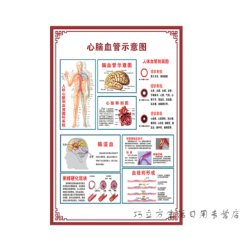 人体内脏解剖系统示意图医学骨骼肌肉器官血管血液结构图医院海报心脑