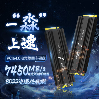 梵想（FANXIANG）1TB SSD固态硬盘 M.2接口NVMe协议PCIe 4.0 x4 畅玩游戏独立缓存 PS5台式机笔记本S770M