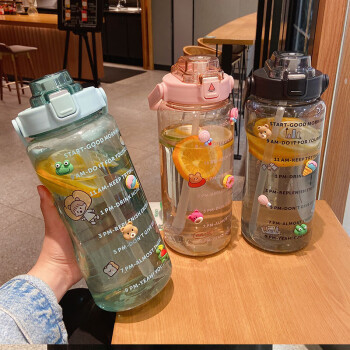 昌诺 饮水杯 大容量水壶带吸管简约塑料杯 多个颜色 2个起购 JR1