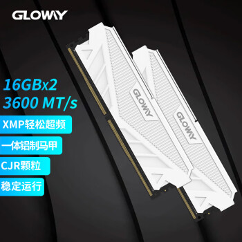 光威（Gloway）32GB(16GBx2)套装 DDR4 3600 台式机内存条 天策系列 海力士CJR颗粒