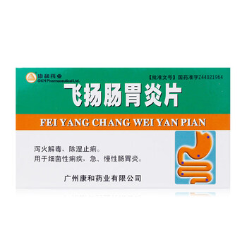 康和药业飞扬肠胃炎片 24片/盒rx急慢性肠胃炎细菌性痢疾 1盒