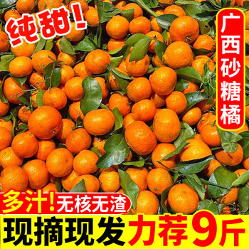 砂糖橘新鲜10斤沙糖桔小橘子当季水果整箱无籽蜜橘纯甜带箱10斤精选果