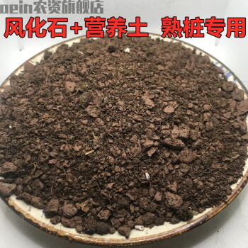 澜墨风化石土天然风化石土石谷子金弹子营养土通用多肉兰花盆景土园艺