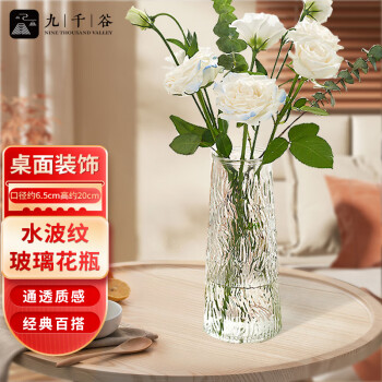 九千谷玻璃花瓶客厅桌面富贵竹水培植物插花瓶容器水波纹透明高20cm2363