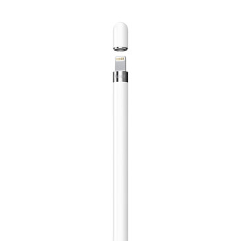 ApplePencil (第一代) 含USB-C转换器适用iPad mini5/iPad Air3/iPad 10.2英寸(第九/十代)【企业专享】
