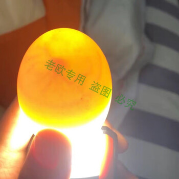 老欧连城白鸭种蛋正宗纯种连城白鹭鸭白鹜鸭受精种蛋可孵化小鸭子三十