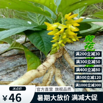 佰重生倒吊王倒水莲黄花远志观音串煲汤干品500g