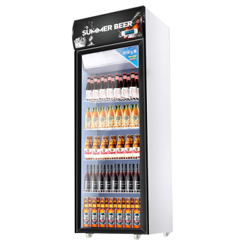 特睿思（TERUISI）饮料柜展示柜冷藏柜立式商用冰柜冰箱啤酒水饮品保鲜柜超市单双门水果保鲜柜 ZH-1M-03