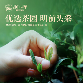 狮峰牌绿茶春晓1星龙井特级200g 2024明前头采茶叶春茶新茶上市自饮