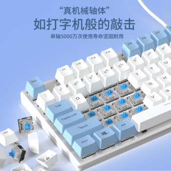 达尔优（dareu）EK815机械合金版键盘 有线键盘  电竞游戏键盘 多键无冲108键单光 女生 白色蓝色 茶轴