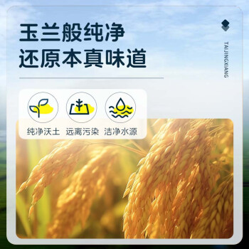 泰金香 玉兰香米 长粒大米 籼米 大米10kg