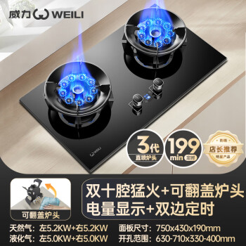 威力（WEILI）燃气灶双灶5.2kW聚能防风定时灶翻盖炉头钢化玻璃嵌入式双十腔灶具WL902（天然气）