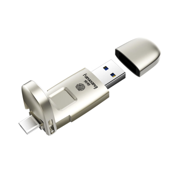 梵想（FANXIANG）固态U盘 手机u盘 512GB USB3.2 Type-C 指纹加密高速优盘 移动固态硬盘 FP651 香槟银