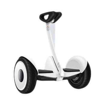 Ninebot九号儿童平衡车6-12岁电动车智能双轮腿控9号体感车平衡车10岁以上平行车L6白色