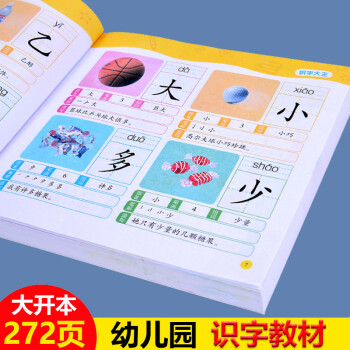 儿童学前看图识字书368岁幼儿园1280识字大王注拼音版一年级学前班幼