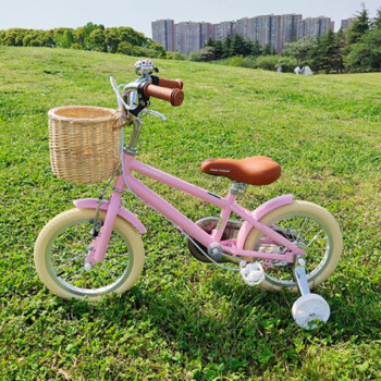 自行车公主风星加童车韩国韩式newbreeze儿童自行车复古男女孩脚踏