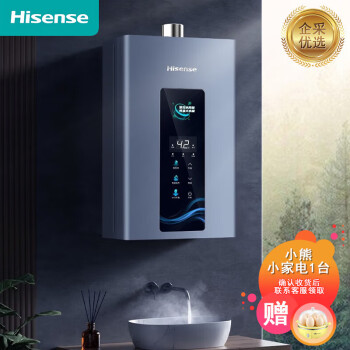 海信（Hisense）燃气热水器天然气 水伺服恒温智能变升密闭稳燃仓精准控温智能家用智享【企业采购】/WS3(12T)13L