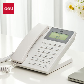 得力（deli） 电话机座机 固定电话 办公家用 30°倾角 亮度可调 13560白
