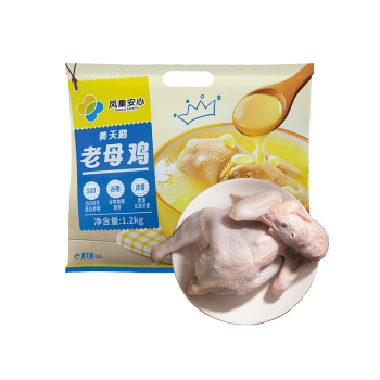 黄天鹅 谷物食粮饲养 老母鸡 1.2kg/只