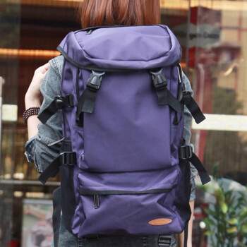 Landcase 背包男旅行包户外男女通用装备徒步旅游露营双肩男士背包旅行包 8051紫色小号