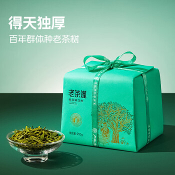 卢正浩绿茶老茶蓬龙井茶叶特级250g 2024新茶上市明前龙井茶叶纸包